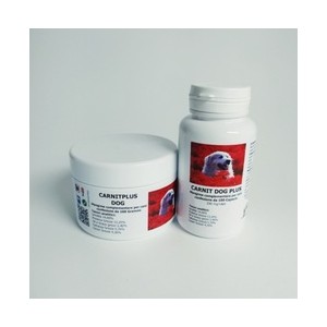 Carnitina Gel 100% Vegetal