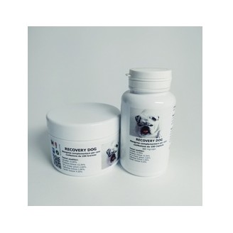Recovery Dog Polvere