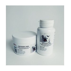 Recovery Dog Polvere