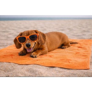 Telo Mare 70x100cm per cani gatti conigli