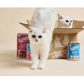 Wow 125gr Pollo e fegato Kitten Cuccioli Grain Free