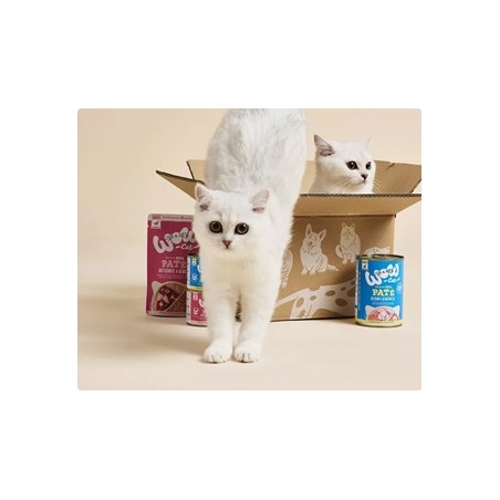 Wow 125gr Pollo e fegato Kitten Cuccioli Grain Free