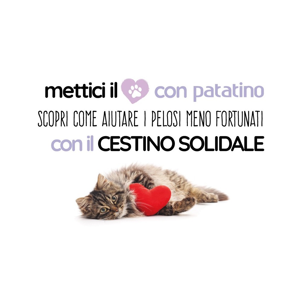 Cestino Solidale per i Pelosetti in difficoltà