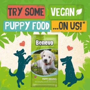 Benevo 1.8 kg Vegan per Cuccioli GRAIN FREE