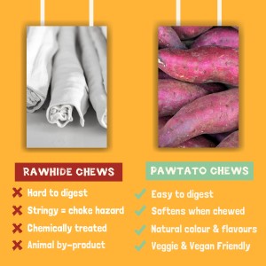 Pawtato Blueberry Sticks 120g Benevo