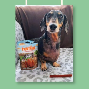 Pawtato Stick di Patate Dolci e Mirtilli Vegan  120 gr Benevo