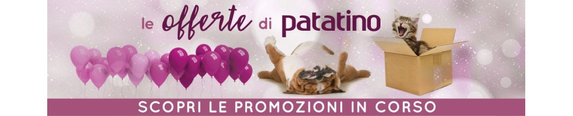 Grandi Formati