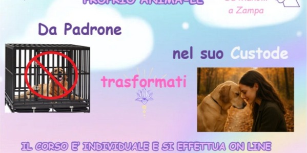 Da Padrone a Custode