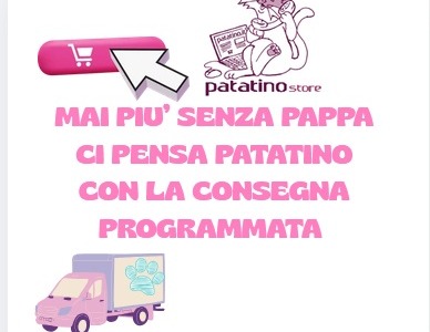 Consegna Mensile Automatica